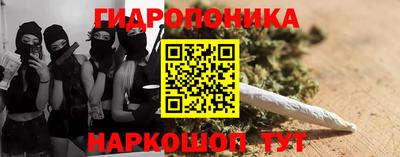 твердый Будённовск