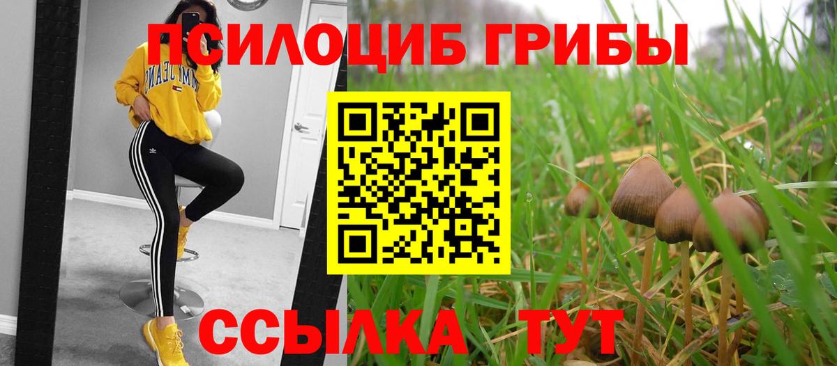 Уварово  Псилоцибиновые грибы мухоморы  Вход с VPN 